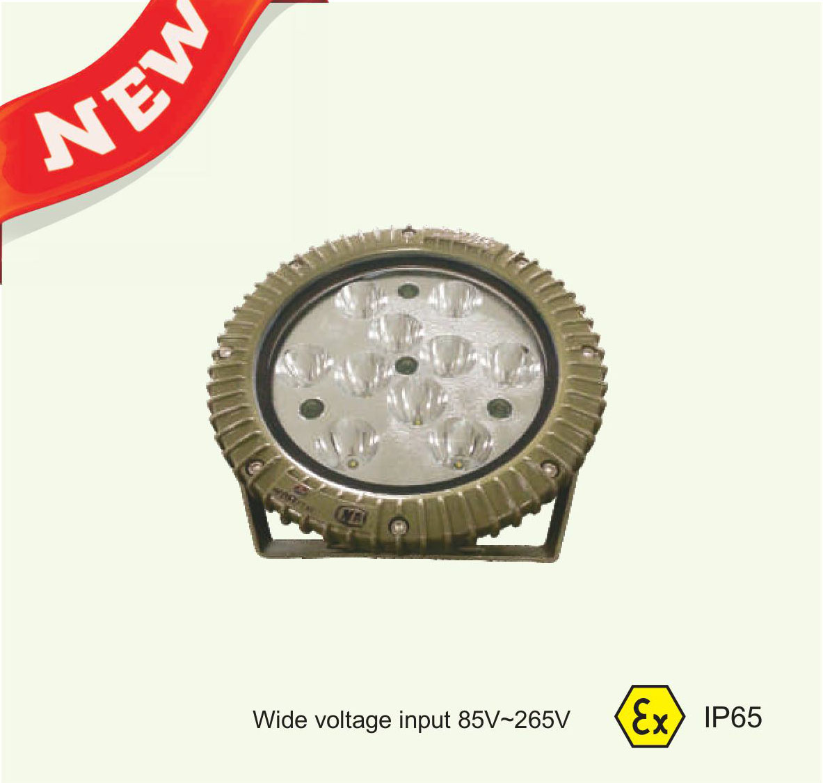 DGS-127L(G) Mining Explosion Proof LED Spotlight