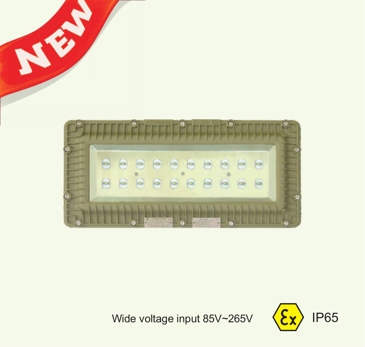 DGS-127L(K) Mining Explosion Proof LED Floodlight